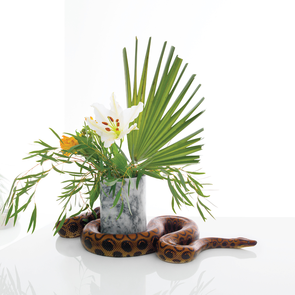 Image d'un serpent autour d'un pot de fleur