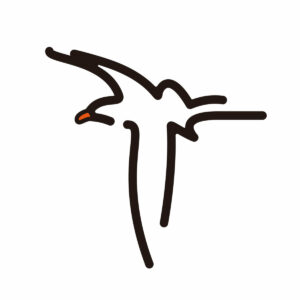 Logo de kamome sano, un goéland stylisé en quelques traits 