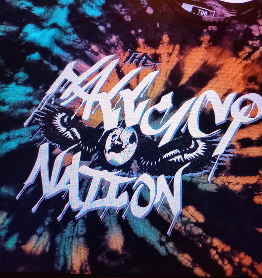 LOGO du groupe de Techno tribale des natifs américains A tribe called Red/Halluci Nation